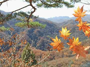 💃高山族舞蹈，一场震撼人心的视觉盛宴！